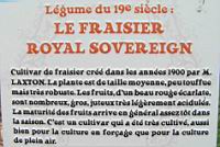 12 - Legume du 19e - Le Fraisier Royal Sovereign.jpg